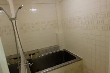 Japanese bath