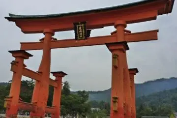 Torii