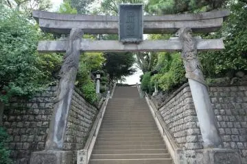 Gallery image
