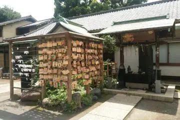 Gallery image