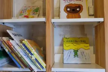 Lots of different kind of books to choose from