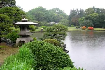 The view of the garden