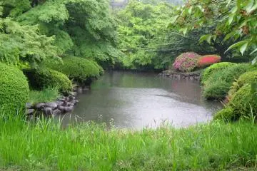 A fragment of the garden