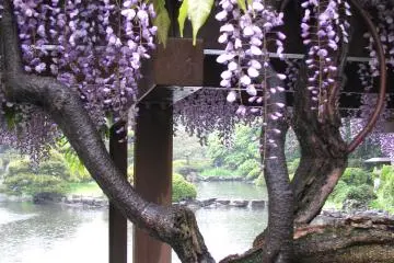 Fuji was also very bright