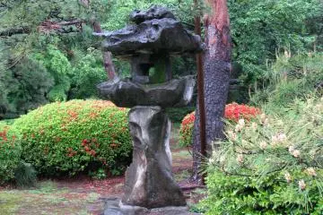 A fragment of the garden