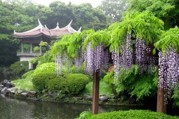 Japanese style pavilion