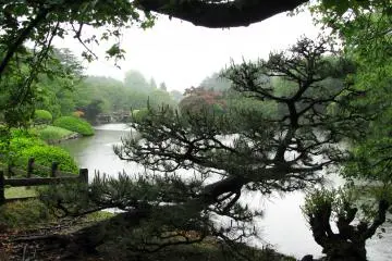 The garden offers many great views for a photographer