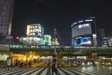 Shinjuku, la palipitante