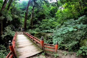 The bridge to cross before going up