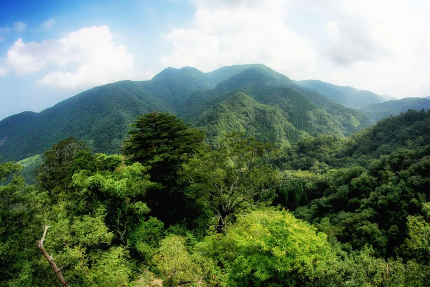 The Fantastic Tottori Trip - Day 2