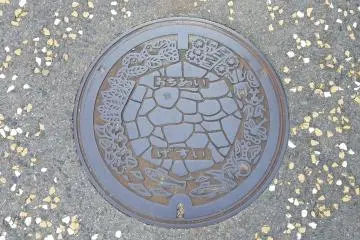 Ochiai