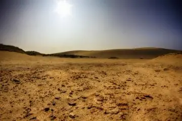In the west area, the ground is a mix of rock and sand