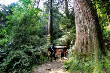 The red gate signifies entrance to another land