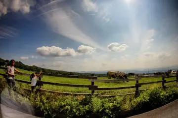 Field near mount Daisen