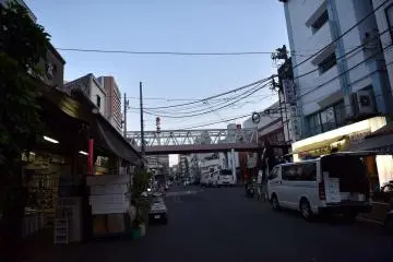 Photo: <a href="https://en.japantravel.com/tokyo/tsukiji-market-at-5am/29217" target="_blank" rel="noreferrer noopener nofollow">Bridget Ye</a>