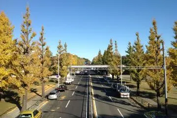 <p>Komazawa Street view taken photo from over the bridge on the Park in fall.</p>