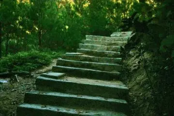 <p>Le chemin jusqu'en haut est raide mais pav&eacute; de marches</p>
