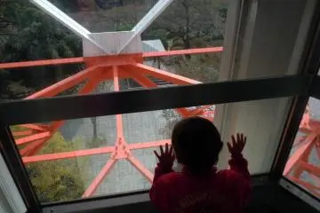 Glass elevator in Utsunomiya Tower (Photo: S. C. Kurokawa)