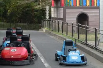 Whether you are 3 or 83, you can get a thrill riding around in one of these - like a ride-on lawn mower but more fun, and you can go faster (Photo: S. C. Kurokawa)