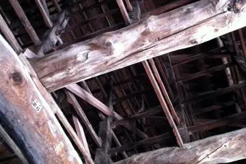 Senjo-kaku has no ceiling, so you can see all the amazing roof beams