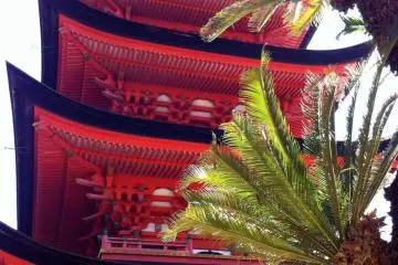 Next to the Senjo-kaku is a striking red pagoda, and splendid sago palm