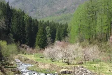 Higashichikuma-gun view