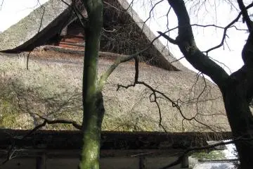 Old jinja with straw roof