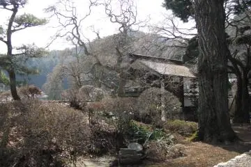 Nature is awaking from winter that is cold in Nagano