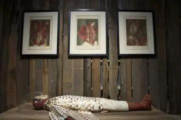 Exhibición de Archivo Genético Humano Perdido