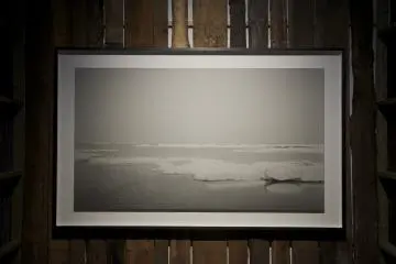 Exhibición del Archivo Genético Humano Perdido