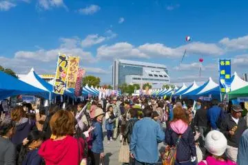Miki Hardware Festival