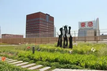 Sky Garden 10
