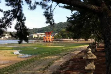 Kiyomori-Chaya