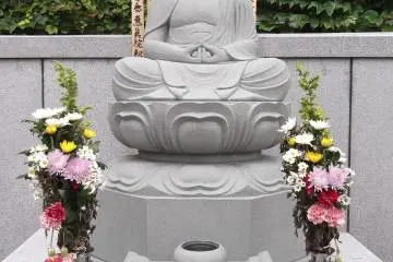 Serene in the graveyard