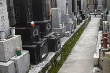 A row of graves with lichens creeping upwards