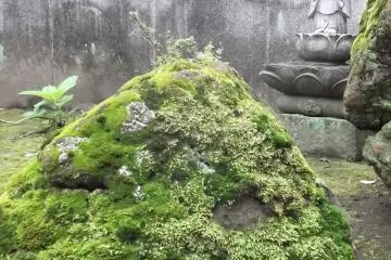 How long must this stone have been here?