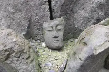 A face among the stones