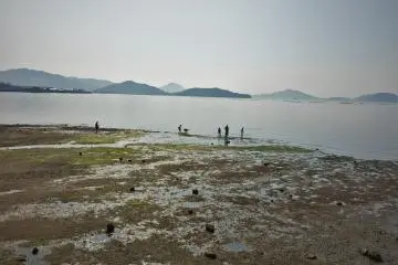 Families mill about on the beach