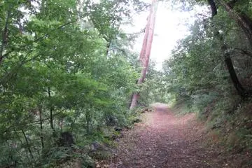 The steep ascent has a rewarding view at the end!