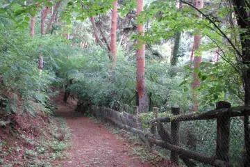 Hiking in Asama 