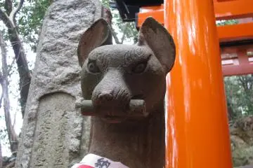 Kitsune desu