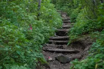 Path near the trailhead