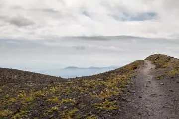 Volcanic vegetation
