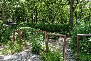 Entrance to the trail