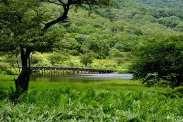 Bridge from across the lake