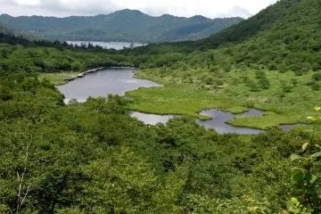 Kakumanbuchi Marshland