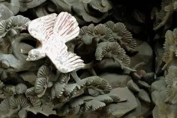 Burung di pohon pinus