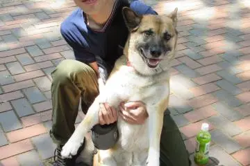 This boy with his dog kindly guided me to the station in Toba when I was lost