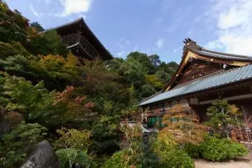 광각 샷은 여러 건물의 배경에 관해 전체적으로 보여준다