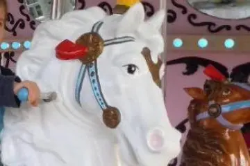 Carousel horse.